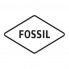 FOSSIL (167)